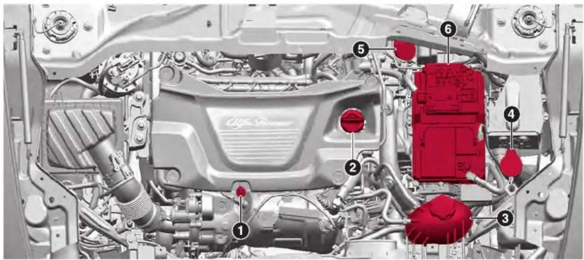 ALFA ROMEO Tonale (2025) - CONTRÔLE DES NIVEAUX - 3
