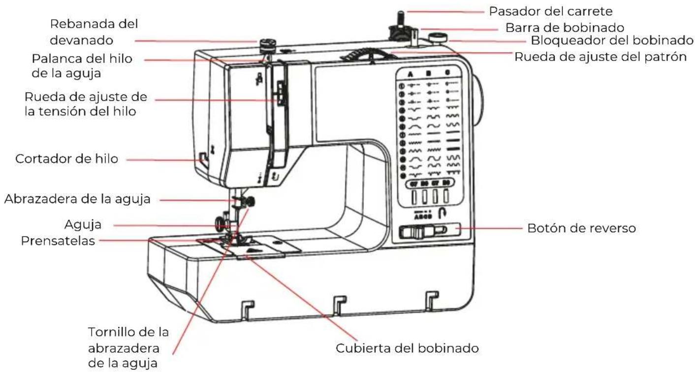 Prixton P125 - Introducción a componentes - 1