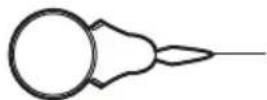 Prixton P125 - Accessoires - 3