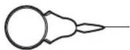 Prixton P125 - Accessories - 3