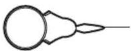 Prixton P125 - Accessori - 3