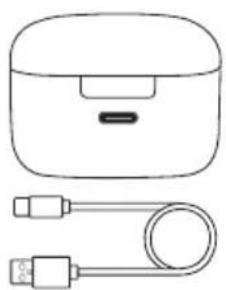 Prixton TWS163 Wood - Oplaadcase opladen - 1