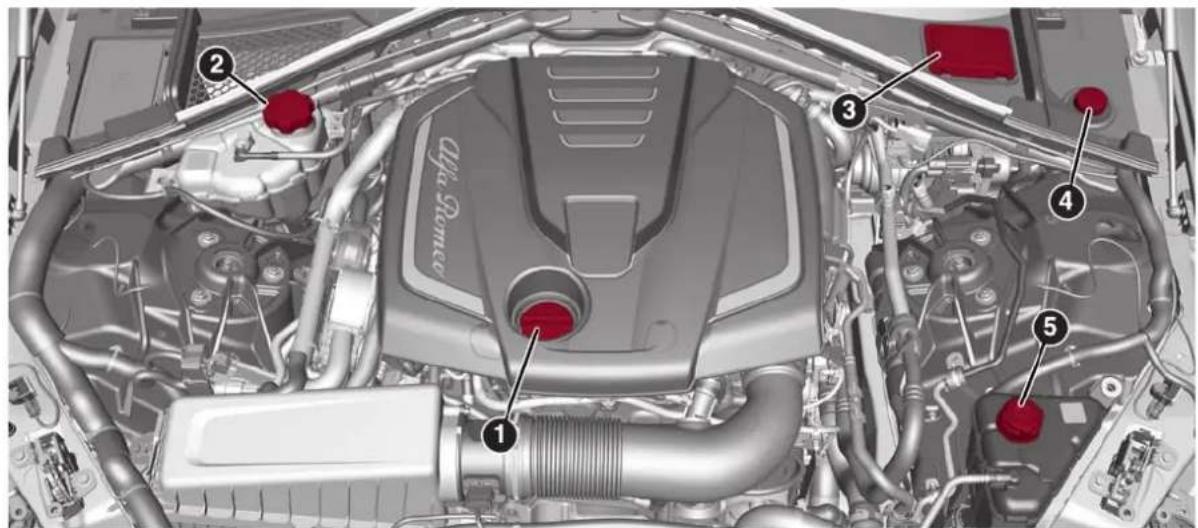 ALFA ROMEO Giulia (2025) - Moteur 2.0 T4 MAir fig. 273 - 1