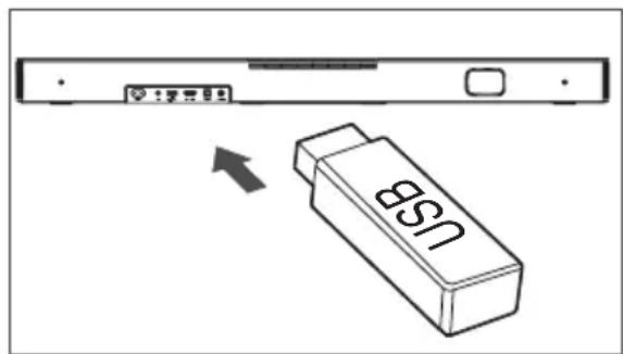 HISENSE HS2000 - Functionarea in modul USB - 1