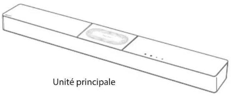 HISENSE HS2000 - Contenu de la boîte - 1