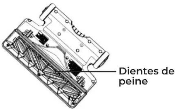 Dientes de peine