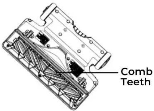 Comb Teeth