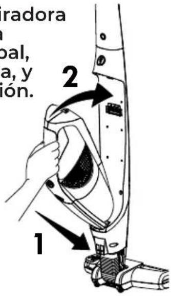 1 2 Bal, a, y ion.