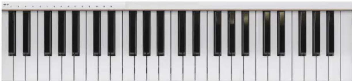 Arturia KeyLab mk3 - Clavier - 1