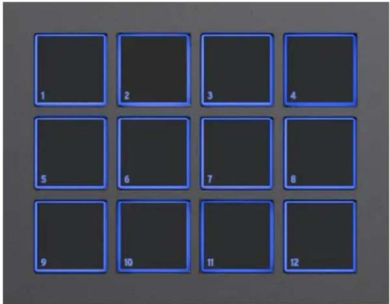Arturia KeyLab mk3 - Pads - 1