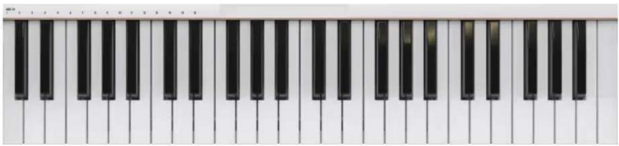 Arturia KeyLab mk3 - Clavier - 1