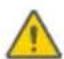 SEGWAY Ninebot Gokart Pro II - Warning - 11