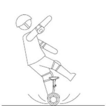 SEGWAY Ninebot Gokart Pro II - Waarschuwing - 7