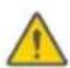 SEGWAY Ninebot Gokart Pro II - Warning - 5