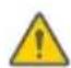 SEGWAY Ninebot Gokart Pro II - Warning - 7