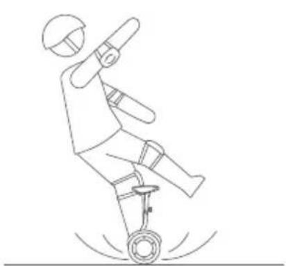 SEGWAY Ninebot Gokart Pro II - Aviso - 6
