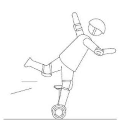 SEGWAY Ninebot Gokart Pro II - Warning - 2