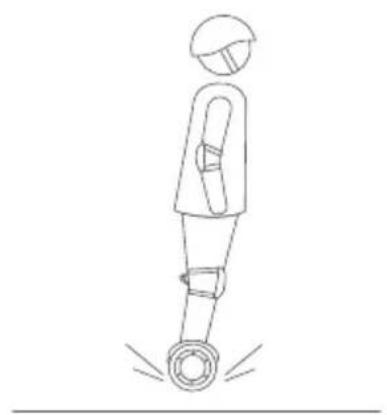 SEGWAY Ninebot Gokart Pro II - Avvertenze - 4