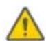 SEGWAY Ninebot Gokart Pro II - Aviso - 11