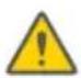 SEGWAY Ninebot Gokart Pro II - Aviso - 14
