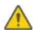 SEGWAY Ninebot Gokart Pro II - Warning - 13