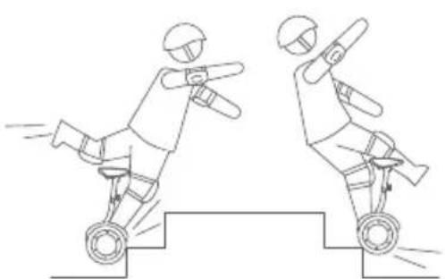 SEGWAY Ninebot Gokart Pro II - Warning - 12