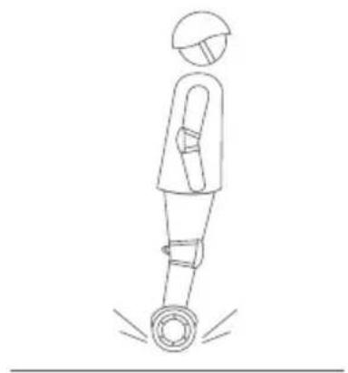 SEGWAY Ninebot Gokart Pro II - Avertissement - 5