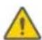 SEGWAY Ninebot Gokart Pro II - Warning - 9
