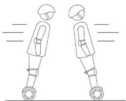 SEGWAY Ninebot Gokart Pro II - Warning - 17