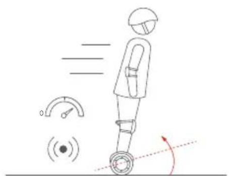 SEGWAY Ninebot Gokart Pro II - Ostrzeżenie - 9