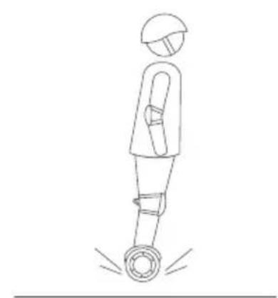 SEGWAY Ninebot Gokart Pro II - Waarschuwing - 5