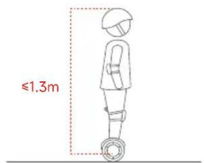 SEGWAY Ninebot Gokart Pro II - Aviso - 18