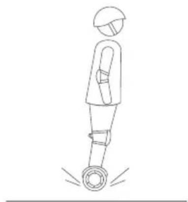 SEGWAY Ninebot Gokart Pro II - Ostrzeżenie - 3