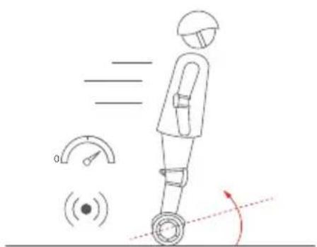 SEGWAY Ninebot Gokart Pro II - Waarschuwing - 16