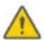 SEGWAY Ninebot Gokart Pro II - Warning - 22