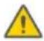 SEGWAY Ninebot Gokart Pro II - Warning - 18