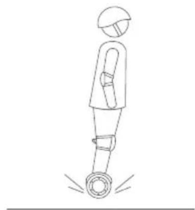 SEGWAY Ninebot Gokart Pro II - Warning - 4