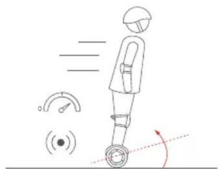 SEGWAY Ninebot Gokart Pro II - Avvertenze - 15
