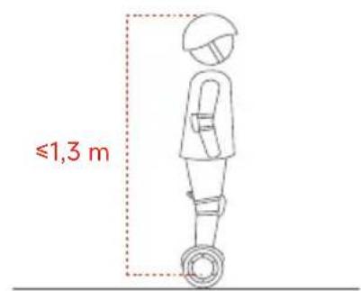 SEGWAY Ninebot Gokart Pro II - Avvertenze - 18