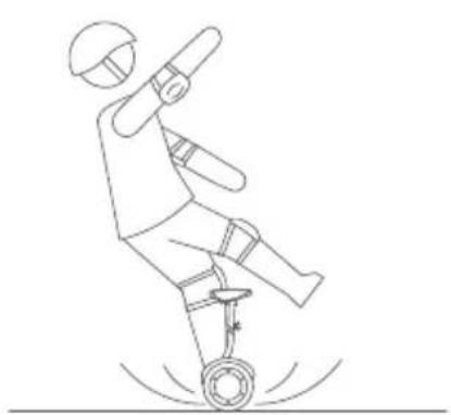 SEGWAY Ninebot Gokart Pro II - Avvertenze - 6