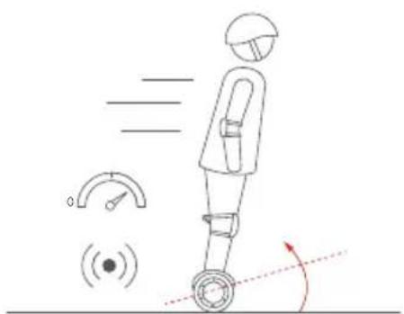 SEGWAY Ninebot Gokart Pro II - Warning - 15