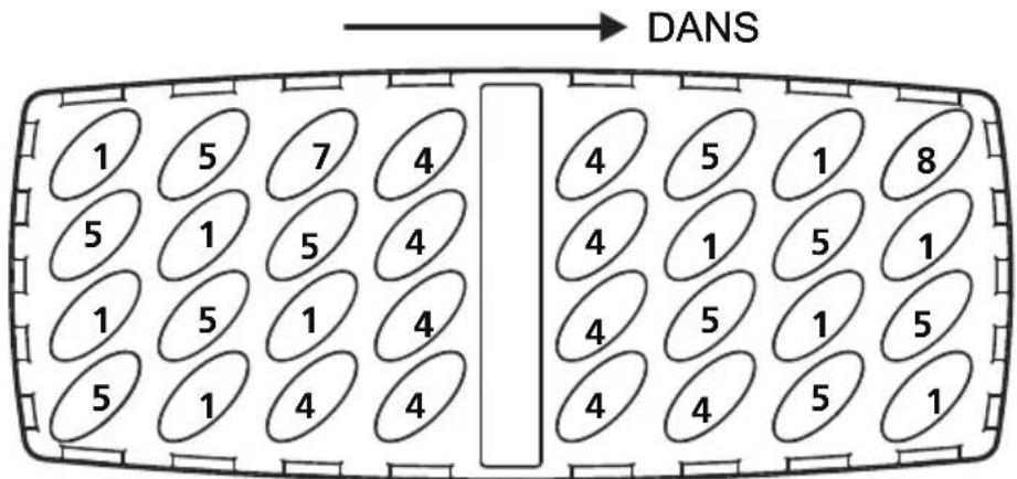 DANS 1 5 7 4 5 1 5 4 1 5 1 4 5 1 4 4 4 5 1 8 4 1 5 1 4 5 1 5 4 4 5 1 1