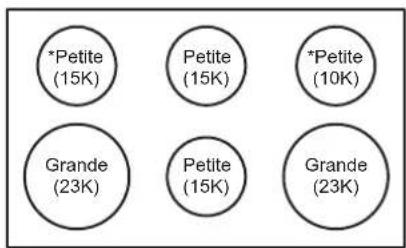 SIGNATURE SKSGR360GS - Mode Extra Low Simmer (mijotage à très basse température) (Sur certains petits brûleurs) - 2