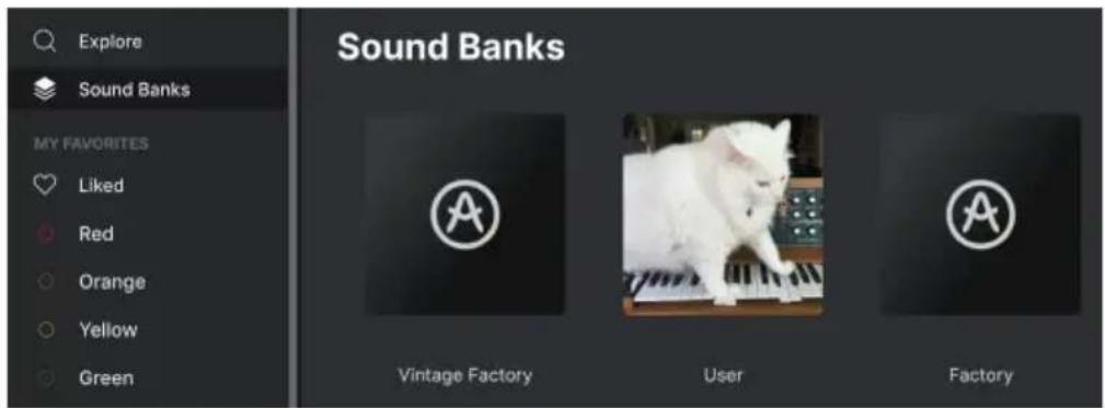 Arturia Synthx V - Sound Banks - 1