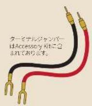 Dali EPIKORE 3 - 此一力の二接続 - 2