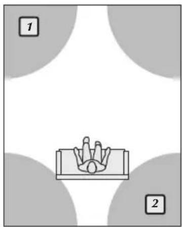 Martin Logan Dynamo Foundation 10 - Placement - 2