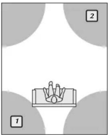 Martin Logan Dynamo Foundation 12 - Placement - 3