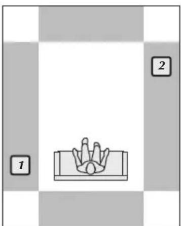 Martin Logan Dynamo Foundation 12 - Placement - 9