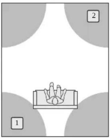 Martin Logan Dynamo 12 - PLACEMENT - 3