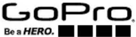GOPRO Sportsman - Fixation Sportsman TM - 1
